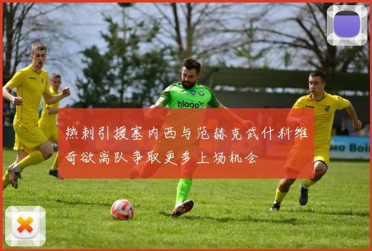 热刺引援塞内西与范赫克武什科维奇欲离队争取更多上场机会